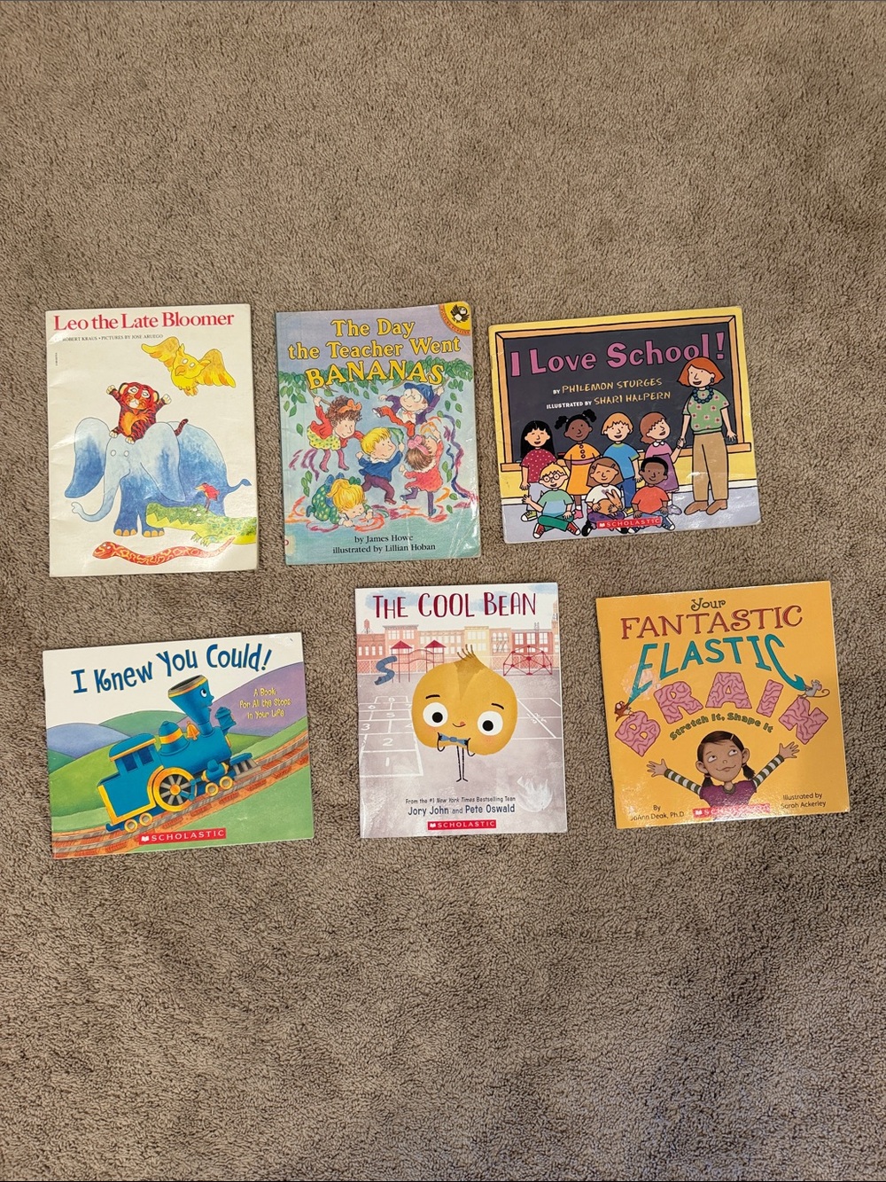 Book Bundle for Elementary Classroom